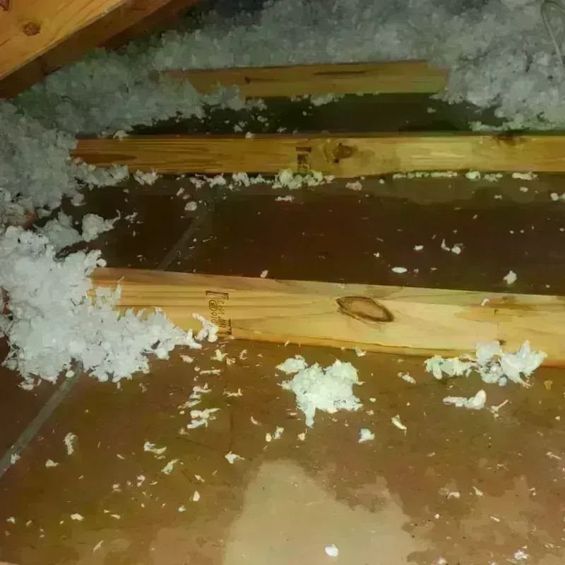 Attic Water Damage in La Pine, OR